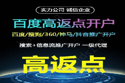 百度竞价广告的投放策略及某行业案例剖析